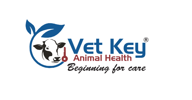 vatkey logo